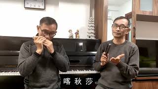 老哥俩吹口琴《外国名曲联奏》，天鹅追梦人2409C调口琴吹奏 [upl. by Doi448]