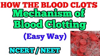 MECHANISM OF BLOOD CLOTTING  EASY WAY [upl. by Iuqcaj962]