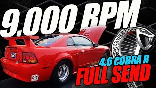 9000 RPM quotTunnel Ramquot 46 Cobra R Prototype  680Plus HP OneOff SVT Mustang [upl. by Ellwood]