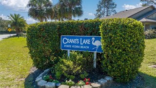 202 Cranes Lake Dr Ponte Vedra Beach FL [upl. by Silverts681]