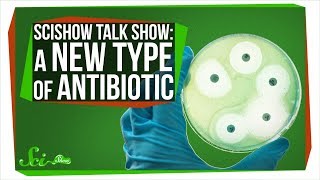 Two Fungi That Produced a New Type of Antibiotic SciShow Talk Show [upl. by Marita]