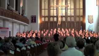 Stellenbosch University Choir  Domine Deus Meus [upl. by Gilbart]