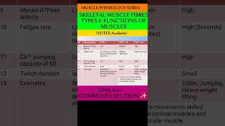 💥 MUSCLE PHYSIOLOGY  Sketelal Muscle Fibres TYPES amp Functions ✨ physiotherapyeducation muscles [upl. by Riay449]