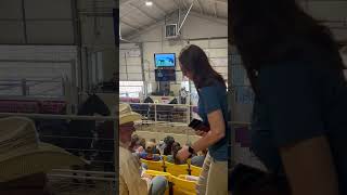 Registered Percheron’s at a local auction [upl. by Ytsenoh]