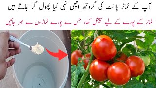 Special Fertilizer for Tomato plant  World Best Fertilizer [upl. by Eelan]