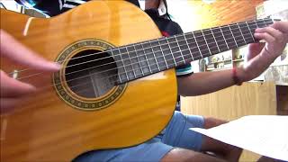 Nació PaLeyenda Los Plebes del Rancho de Ariel Camacho cover guitarra fingerstyle [upl. by Aila121]