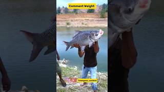 Comment Weight fishing fish fishingvideo [upl. by Warms281]