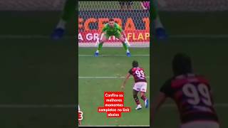 Gols do Flamengo hoje shorts [upl. by Terag]