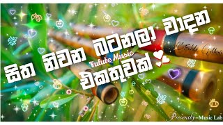 සිත නිවන බටනලා වාදන එකතුවක් 𝗽𝗮𝗿𝘁02 𝗙𝗟𝗨𝗧𝗘 𝗠𝗨𝗦𝗜𝗖☄☄ [upl. by Aeslahc]