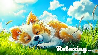 Lofi hip hop mix  Stress Relief Relaxing Music 🍀 beats to sleepstudy [upl. by Rennoc]