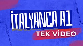 İTALYANCA A1 TÜM DERSLER TEK VİDEO [upl. by Eidnil]