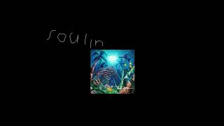 Soulin  Aquatic Ambience Remix [upl. by Atnod]