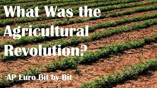 What Was the Agricultural Revolution AP Euro Bit by Bit 23 [upl. by Taka]