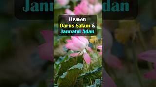 Heaven Darus Salam amp Jannatul Adan shorts quran [upl. by Jourdan]