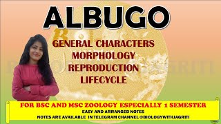 ALBUGO MORPHOLOGY REPRODUCTION LIFECYCLE BSC MSC ZOOLOGY 1SEMESTER BIOLOGYWITHJAGRITI [upl. by Candide]