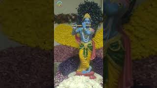 Achyutam Keshavam Krishna Damodaram Ram Narayanam Jaanaki Vallabham song GodKrishnaViraltrending [upl. by Aretse997]