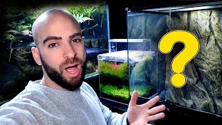 I MADE A MISTAKE  MD FISH TANKS [upl. by Toddie379]