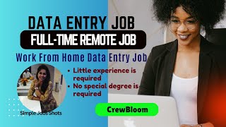 Work from Home Data Entry Job  Fulltime Remote Job Little Experience with no special degree [upl. by Aihtniroc]