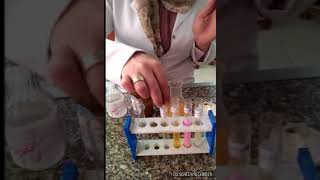 Enzymes Experiment Amylase Iipase Pepsin and Trypsin [upl. by Ais]