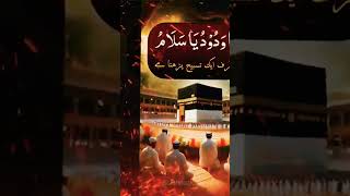 ya wadoodo ya salamu ka wazifa  ya salamu ya wadudo ka wazifa shortvideo islamicinfo viralshort [upl. by Acinor]