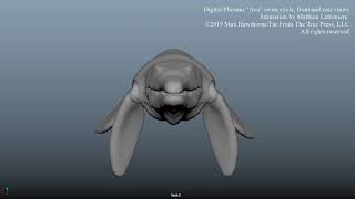 Plesiosaur Pliosaur swim animation by Max Hawthorne [upl. by Palumbo]