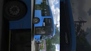 Dos trailer y vayven autobús y Sur ayco Toretto Mercedes Benz [upl. by Ulises634]