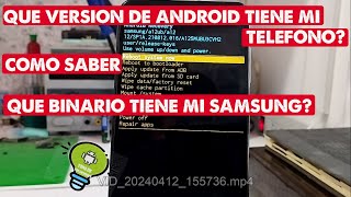 COMO SABER LA VERSION DE ANDROID Y EL BINARIO QUE TIENE MI TELÉFONO SAMSUNG 2024 [upl. by Isnyl33]