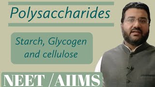 Polysaccharides  Starch  Glycogen  Cellulose  Biochemistry [upl. by Crandale]