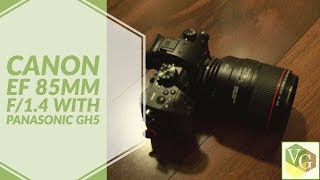 Canon EF 85mm f14 on Panasonic GH5 [upl. by Thissa]