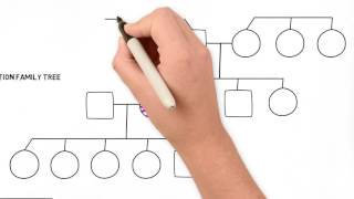 How to Draw a Family Tree  Part 2 Advanced [upl. by Ellehciram]