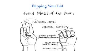 Flipping Your Lid amp Getting Back in Control The Connect [upl. by Tamah606]