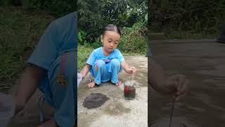 bocil bikin kopi dari tanah 🤣 funny shorts [upl. by Picco]