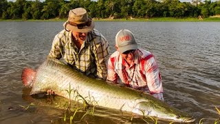 PIRARUCU  FlyFishing the Biggest Arapaima Reserve in the planet [upl. by Kcirad]