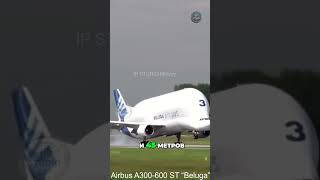 Невероятный Airbus A300600 ST Beluga aviation [upl. by Esnofla]