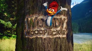 Picchiarello Woody Woodpecker  Sigla live action [upl. by Nymsaj]