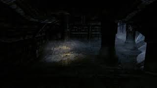 Skyrim  Dwarven Ruins Ambiance echos water white noise cave sounds [upl. by Ora]