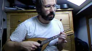 Italian folk song La Sant Allegrezza on Embergher mandolin [upl. by Itsim931]