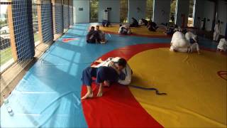 Belt promotion in sparring [upl. by Laeahcim]