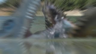 Dino Duels Ep 7 Spinosaurus vs Deinosuchus [upl. by Enirolf397]