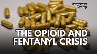 NAS Meridian hosts synthetic opioid and Fentanyl class for law enforcement [upl. by Edlun]