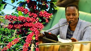 Hon Nambooze atabuse lwa mwananyi agamba UCDA terina kuggalwaawo [upl. by Fotina]