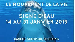 Tirage Signe DEAU du 14 au 31 Janvier 2019 ⎜Horoscope ☃️⎜ [upl. by Longo]