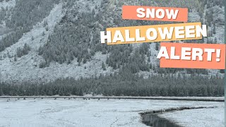 Snow on Halloween Winter Weather Alerts for Millions as Cold Blast Hits [upl. by Alakcim719]