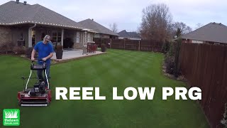 Reel Low Perennial Ryegrass  Dec 20 2017 [upl. by Linnette]