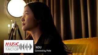 แอบ  NUM KALA cover by Pelle  แพรว กมลภสร [upl. by Ilatfan]