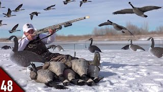 EPIC Solo Goose Hunt on ICE Limited Out  Goose Hunting 2022 [upl. by Vtehsta677]