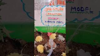 Sprinkler Irrigation👏🧿project workingmodel science agriculture music edmshorts subscribe [upl. by Guilbert705]