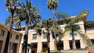 Massive Jubaea Caryota and others in San Luis Obispo California [upl. by Manard203]