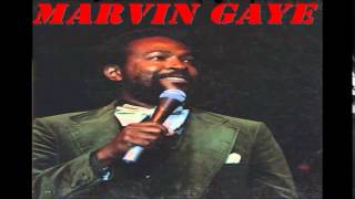 Marvin Gaye  Distant Lover [upl. by Novyar40]