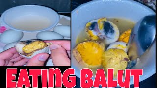 EATING FERTILIZED DUCK EGG TASTE GOOD satisfying eating mukbang [upl. by Yatnohs]